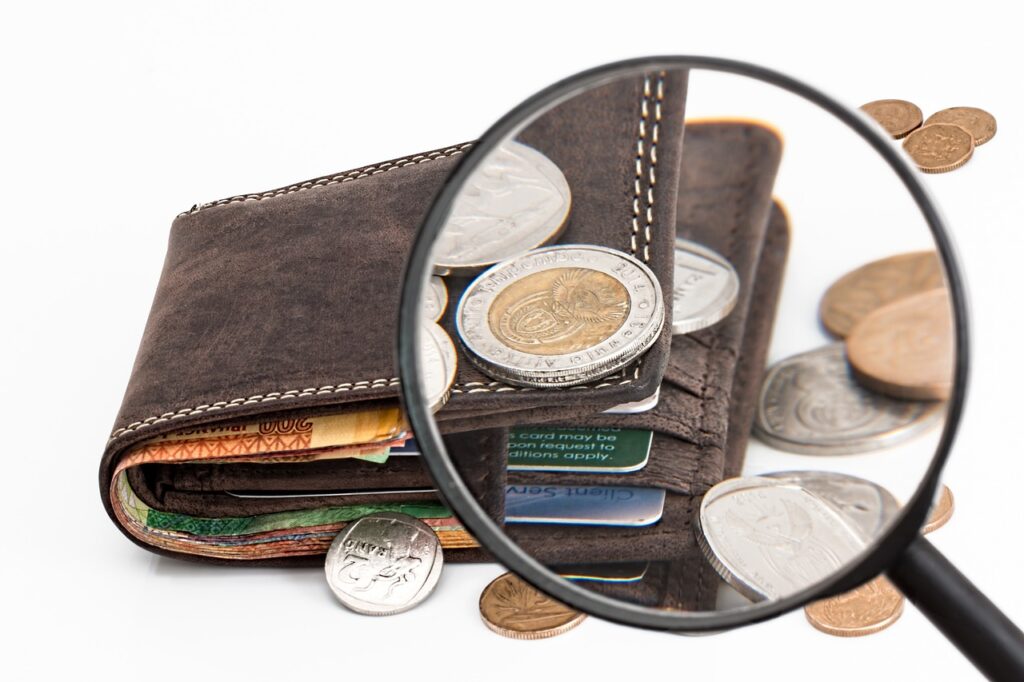 wallet, coins, magnifying glass-2292428.jpg